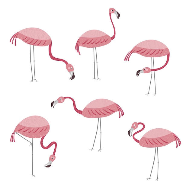 Vektorset mit sechs flamingos flamingos stehen isoliert auf weißem hintergrund