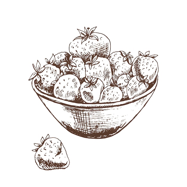 Vektorskizze der schüssel erdbeeren hand gezeichnete illustration