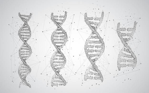 Vektorteil des dreieckigen abstrakten stils der menschlichen dna 3d