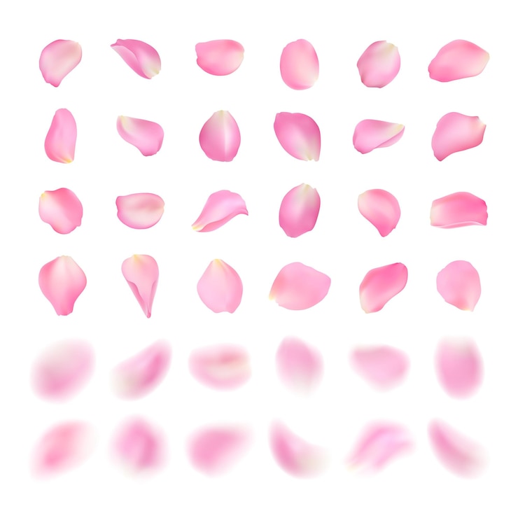 Vektor vektorvorlage mit unterschiedlicher form rosa rosenblätter isoliert auf weißem hintergrund realistische volumetrische verschwommene sakura blütenblätter blur-effekt-illustration