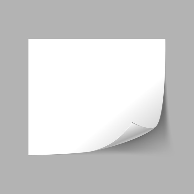 Vektorweißes leeres Papierblatt mit Locken