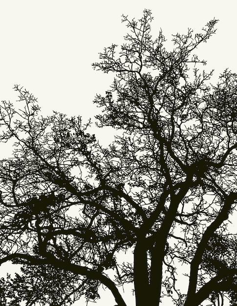 Vektorzeichnung der Silhouette des alten Baumes im Winterwald