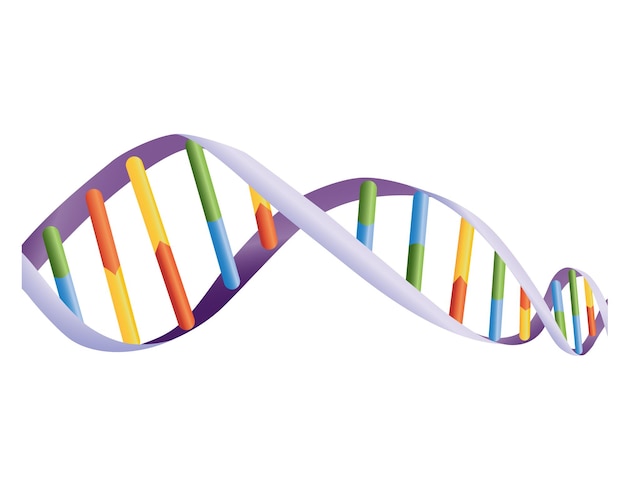 Veranschaulichung des DNA-Helixvektors