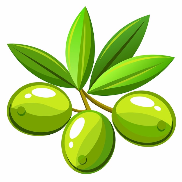 Vektor veranschaulichung des vektors der grünen olive