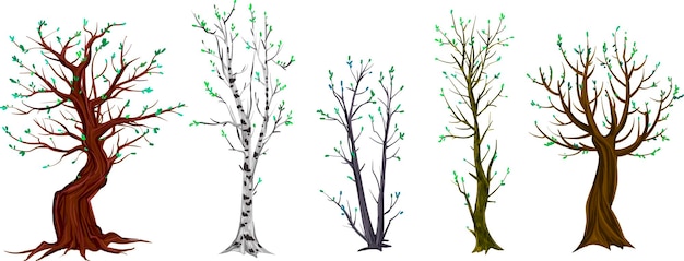 Vektor verschiedene bäume ohne blätter herbst winter wald ein park
