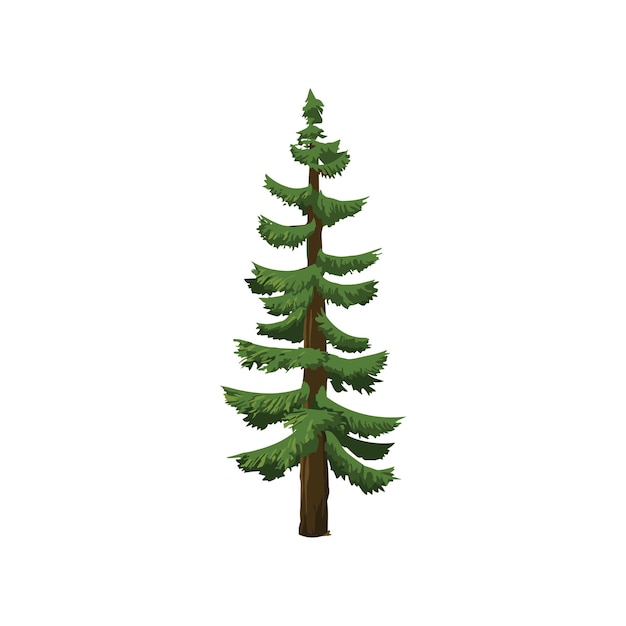 Verschiedene Baumvektoren Wald- und Naturkonzept Sammlung verschiedener Baumsymbole Bildung und