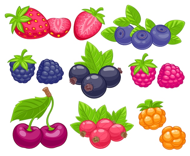 Verschiedene beeren setzen illustration.