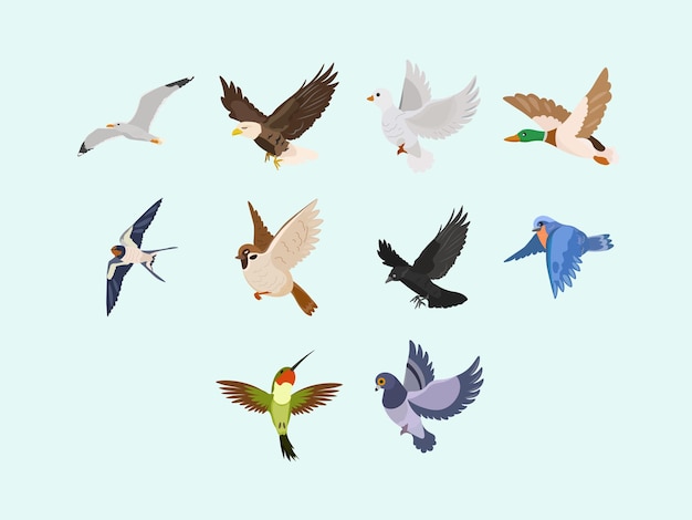 Verschiedene Illustrationssätze für fliegende Vögel