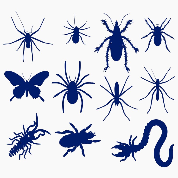 Vektor verschiedene insekten silhouetten von spinnen und arthropoden