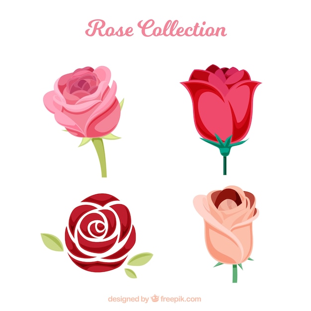 Vektor verschiedene rosen mit verschiedenen arten von designs
