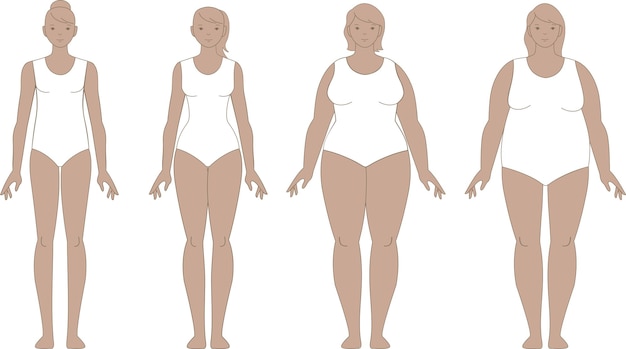 Verschiedene weibliche Körpertypen Frauenfiguren und -formen