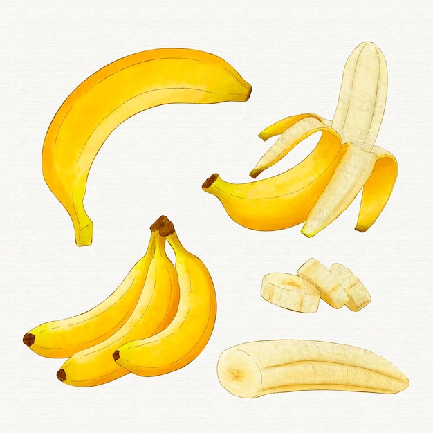 Vektor verschiedene winkel der bananenfrucht