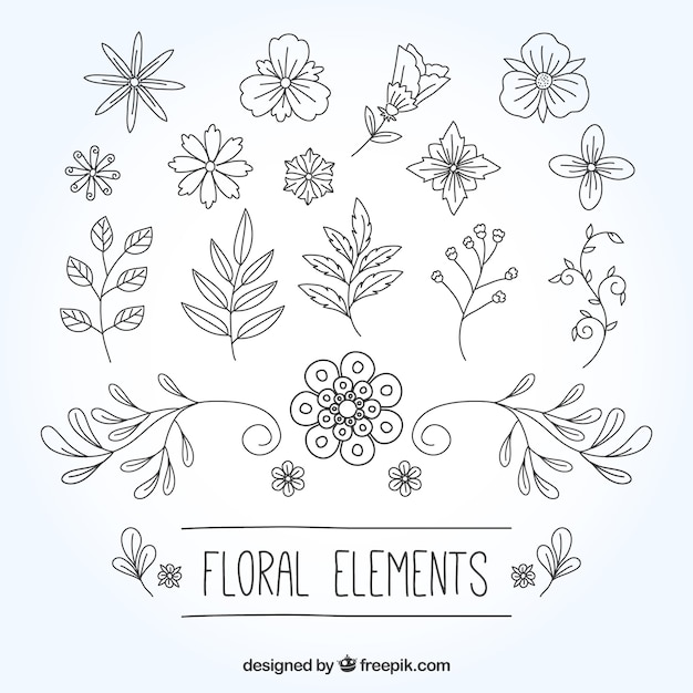 Vielfalt von handgezeichneten Blumen und Pflanzen
