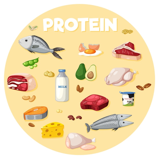 Vektor vielzahl von protein-lebensmitteln