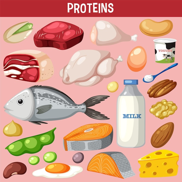 Vektor vielzahl von proteinfleisch mit text