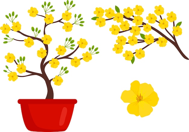 Vektor vietnam gelbe blüte aprikosenbaum ochna integerrima blume für tet urlaub