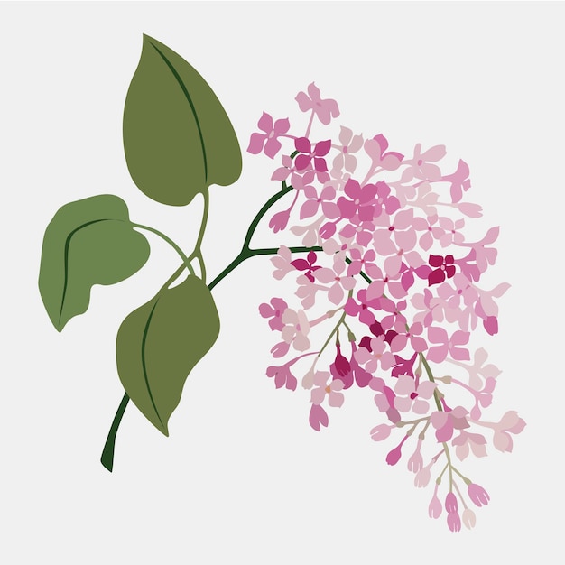 Vektor vintage-aquarell-vektorblume zweig der lila illustration design-logo für den hochzeitshintergrund