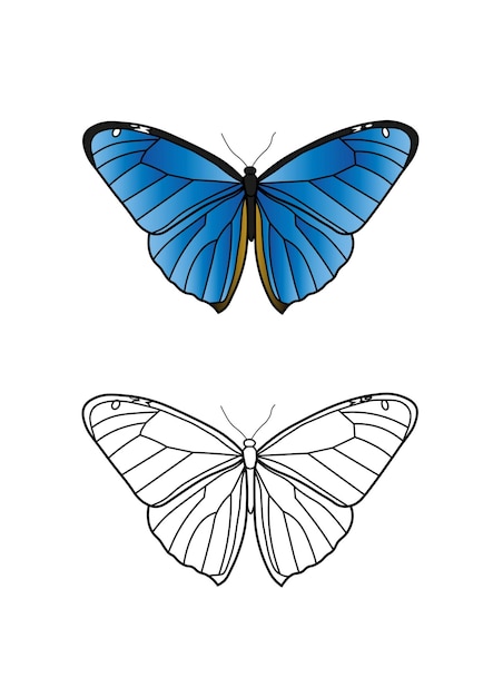 Vintage common blue schmetterlinge illustration design-element-set