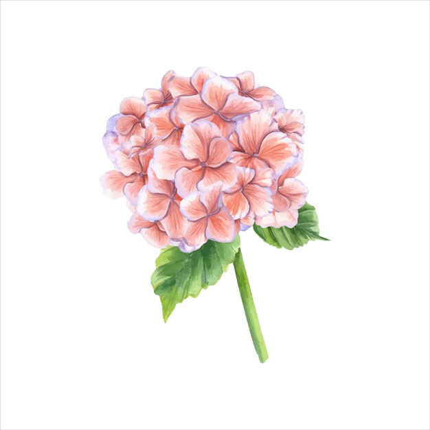 Vektor vintage-hortensia-zweig bouquet im herbst in trendigen farben aquarell-illustration