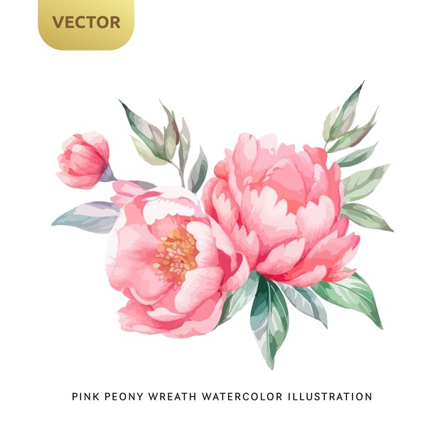 Vintage rosa pfingstrosen-blumen, aquarell isoliert auf weißem hintergrund, dekoratives florales element für hochzeit, valentinstag oder liebeseinladung, vektorillustration