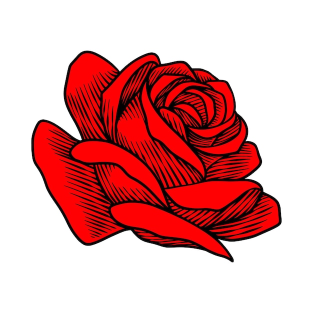 vintage rosen blumenhandzeichnung illustration
