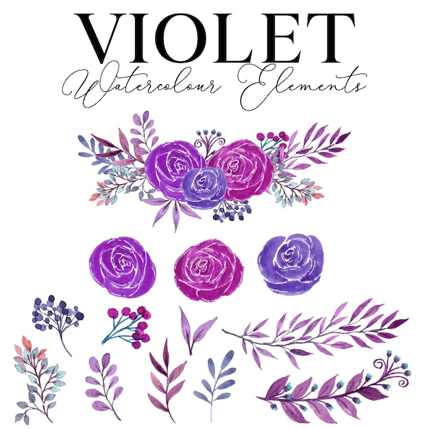 Violette blumen aquarell