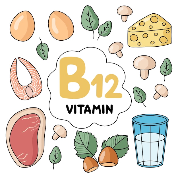 Vitamin b 12-produkte. nahrungsquellen. flache vektorillustration. früchte und gemüse. gesundes essen