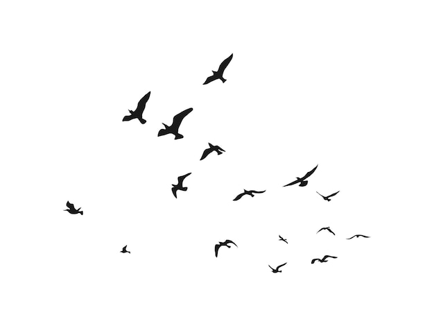 Vögel, die am Himmel fliegen, isoliert auf weißem Hintergrund