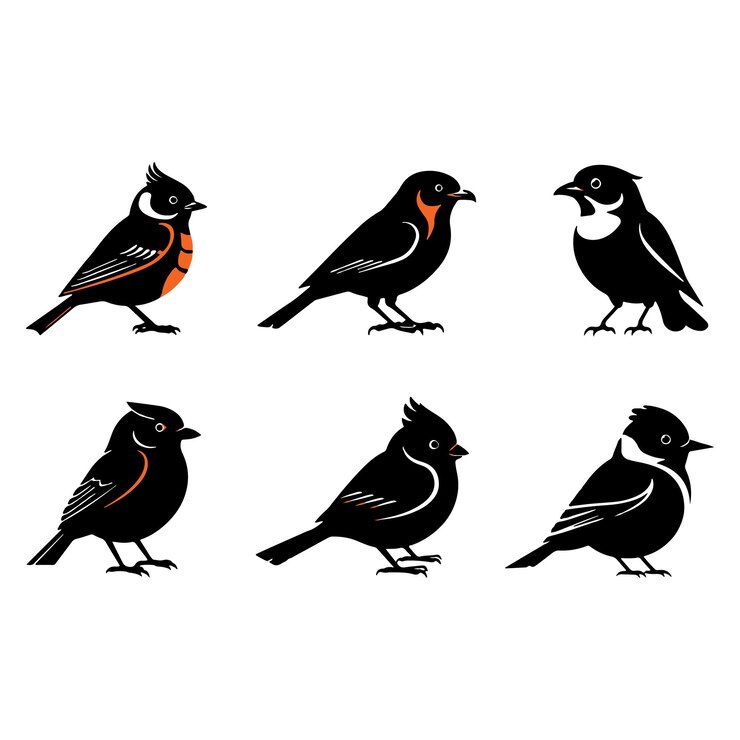 Vögel Vektorkunst Illustration Silhouette Bild-Symbol