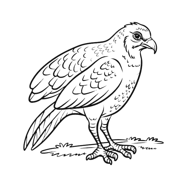 Vögel-Vektorkunst-Illustration.