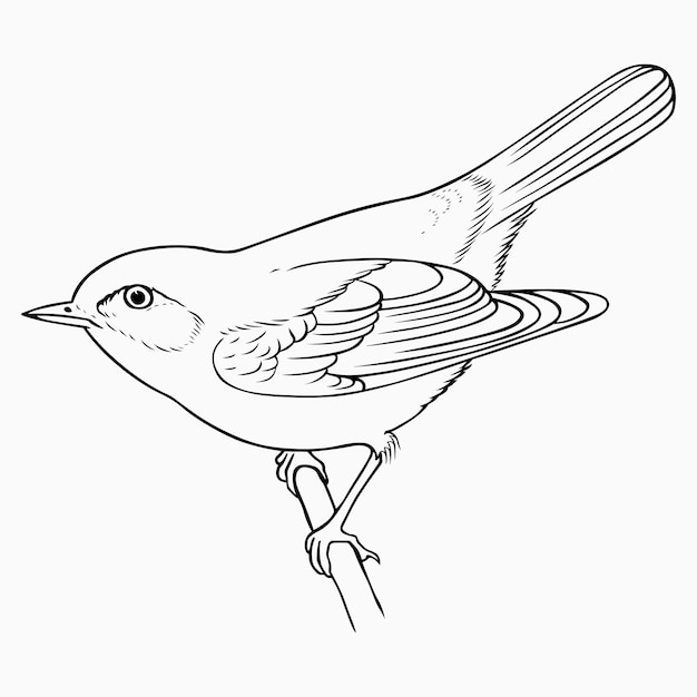Vogel auf einem Zweig
