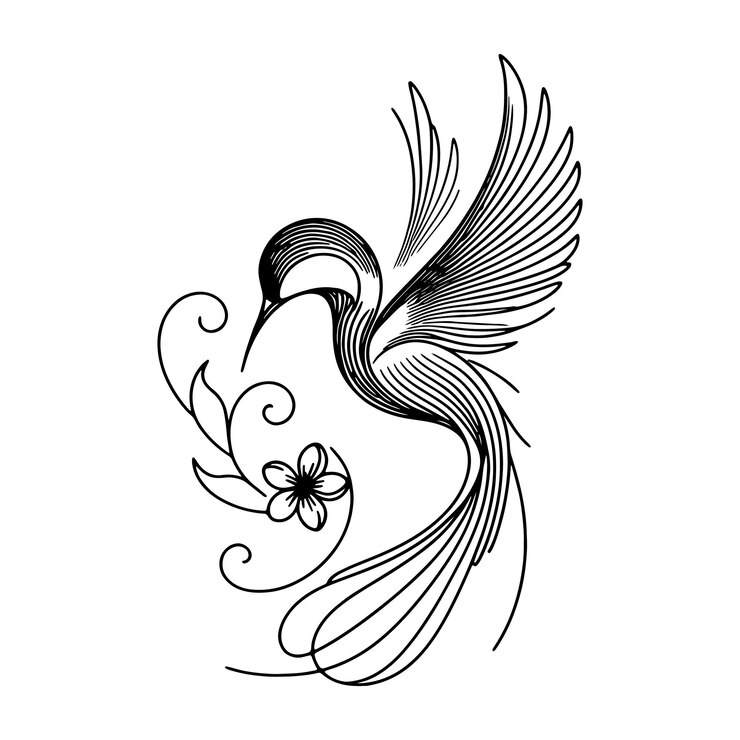 Vogel-Linie-Kunst vollständige Vektor-Silhouette mit reinem weißen Hintergrund