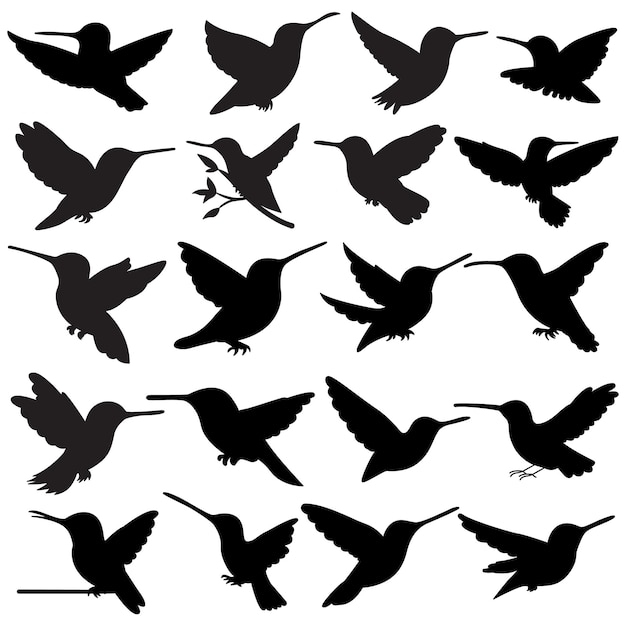 Vogel-set aus schwarzen silhouetten, vektor