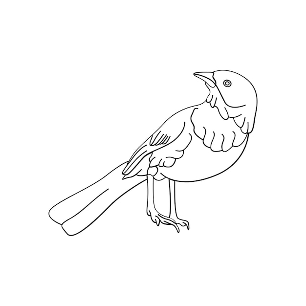 Vogel-Umrissvektor für Malbuch- und Tattoo-Design. Vogel-Linienkunst. Vogel-Vektorillustration