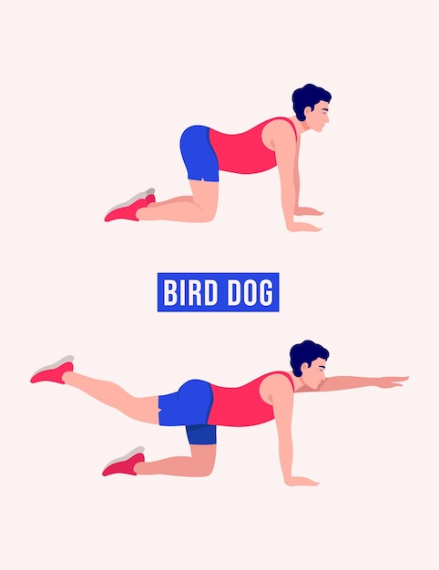 Vogelhundeübung männer trainieren fitness aerobic und übungen