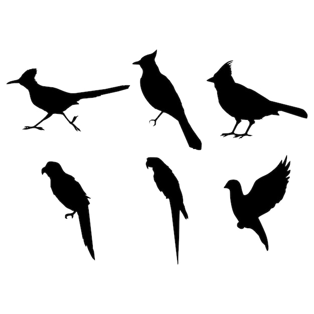 Vektor vogelsilhouetten schwarz-weiß-sammlung vektor-illustration