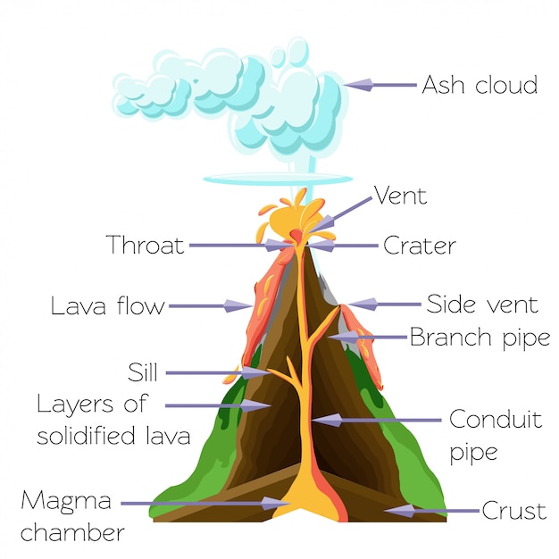 Volcano cros-abschnittdiagramm lokalisiert auf weißem hintergrund.