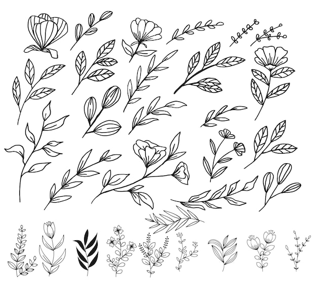 von Hand gezeichnete florale Dekorationselemente