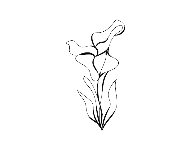 von Hand gezeichnete florale Dekorationselemente