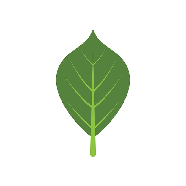 Vektor vorlage für das vektorelement-symbol des grünen blatt-logos