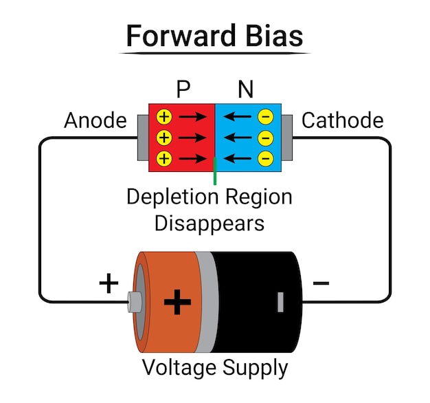 Vektor vorwärtsvorspannung der pn-junction-diode