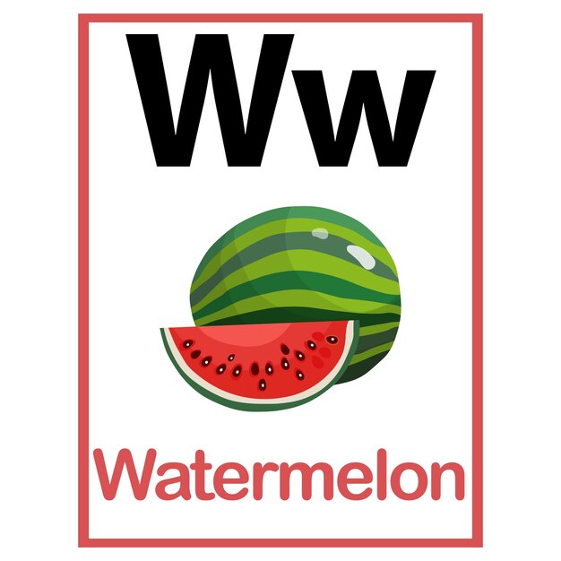 Vektor w für wassermelone