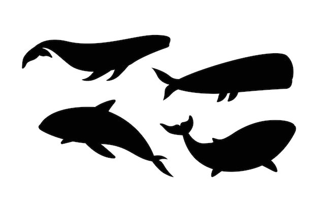 Wal handgezeichnete flache Vektorillustration für Tiersilhouetten