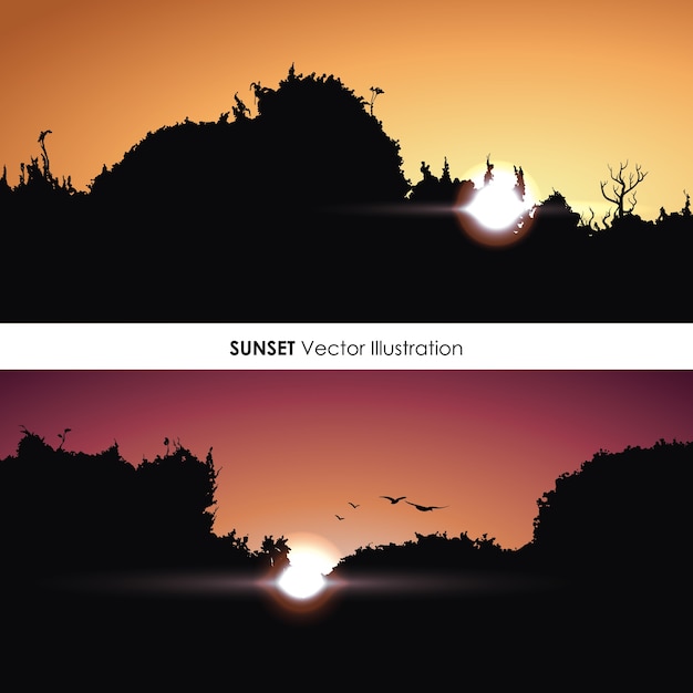 Walddesign über sonnenunterganghintergrund-vektorillustration