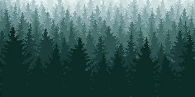 Vektor waldhintergrund naturlandschaft immergrüne nadelbäume vector