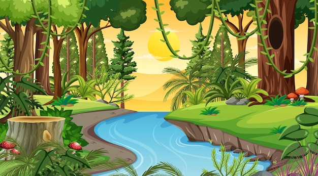 Waldlandschaftsszene bei Sonnenuntergang mit vielen verschiedenen Bäumen
