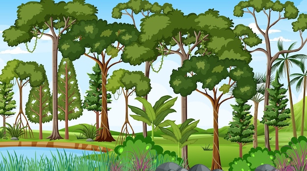 Waldlandschaftsszene tagsüber mit vielen verschiedenen Bäumen different