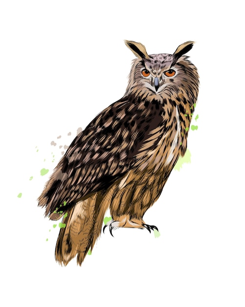 Waldohreule, Uhu aus einem Spritzer Aquarell, farbige Zeichnung, realistisch.