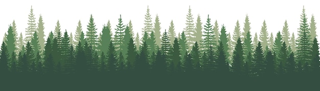 Waldpanoramaansicht. kiefern. fichten-naturlandschaft. waldhintergrund. satz kiefer, fichte und weihnachtsbaum auf weißem hintergrund. silhouette wald hintergrund. vektorillustration