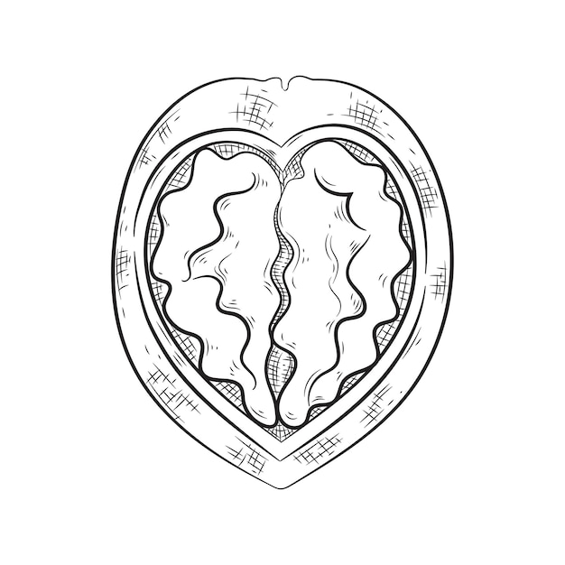 Walnuss-Symbol zum Verpacken von Nüssen. Das Produkt enthält Nüsse, Liebe für Walnüsse